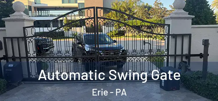  Automatic Swing Gate Erie - PA