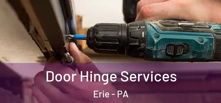  Door Hinge Services Erie - PA