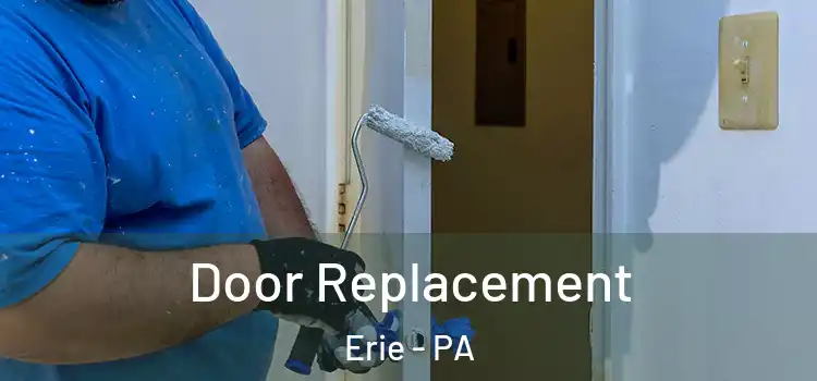  Door Replacement Erie - PA