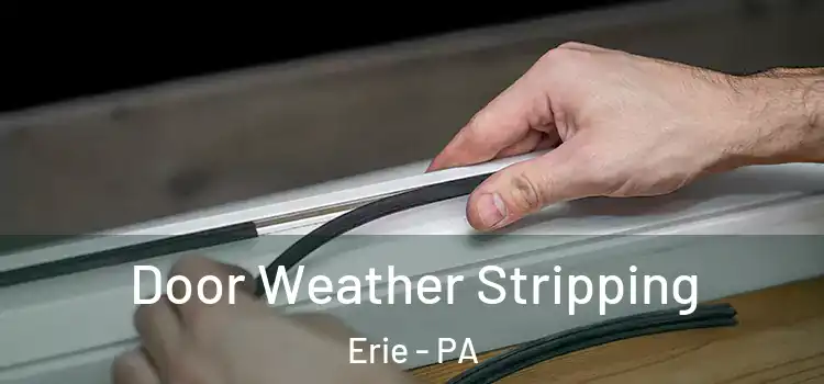 Door Weather Stripping Erie - PA