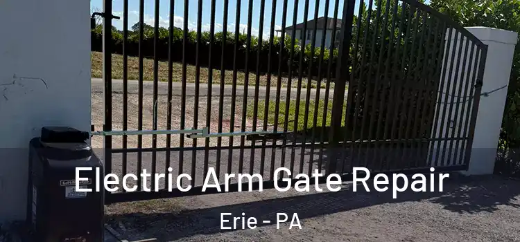  Electric Arm Gate Repair Erie - PA