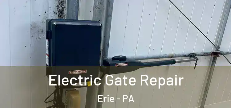 Electric Gate Repair Erie - PA