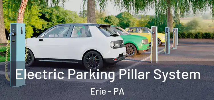 Electric Parking Pillar System Erie - PA