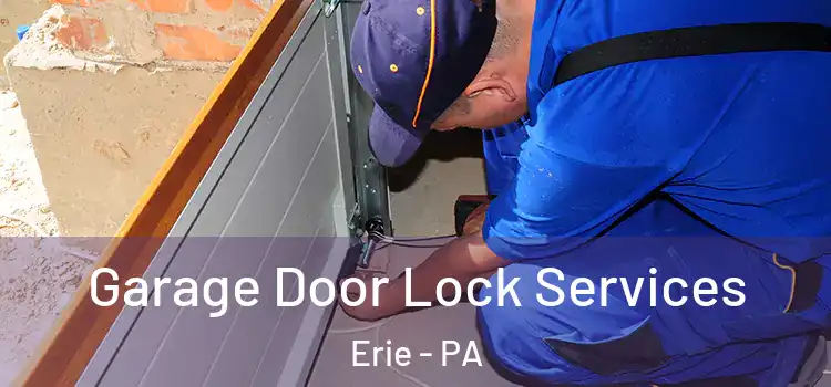 Garage Door Lock Services Erie - PA