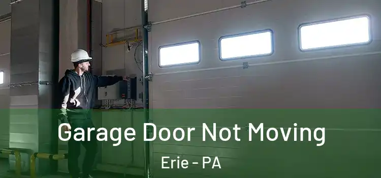  Garage Door Not Moving Erie - PA