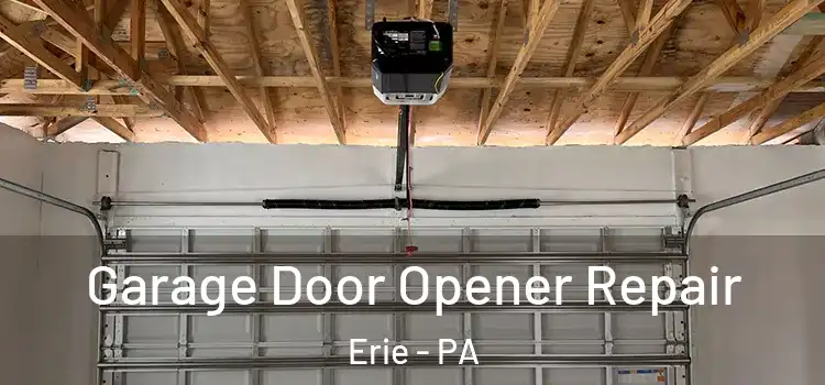  Garage Door Opener Repair Erie - PA