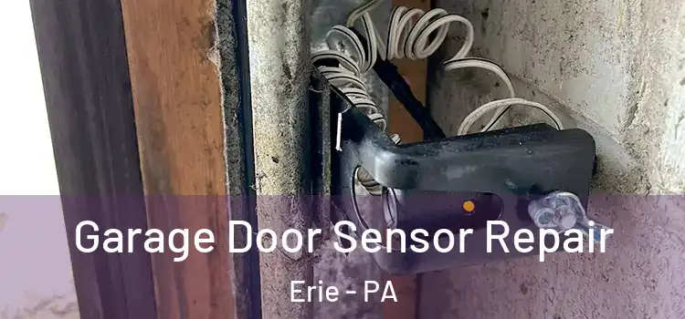 Garage Door Sensor Repair Erie - PA