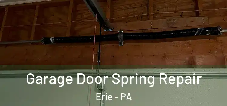  Garage Door Spring Repair Erie - PA