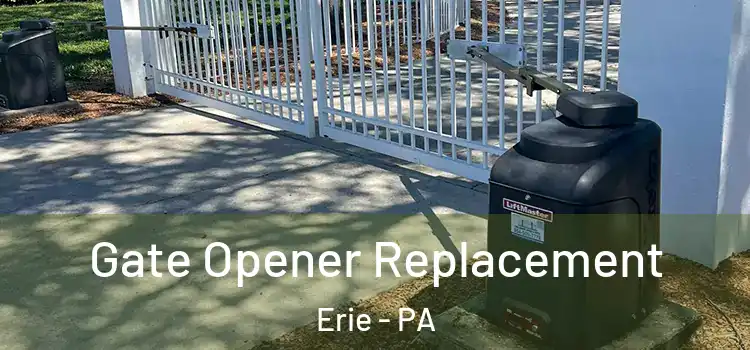  Gate Opener Replacement Erie - PA