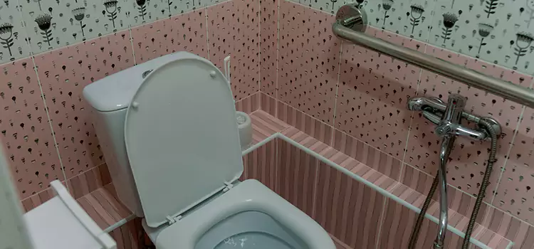 Meeting Diverse Needs With Accessible Restroom Solutions in Erie, PA
