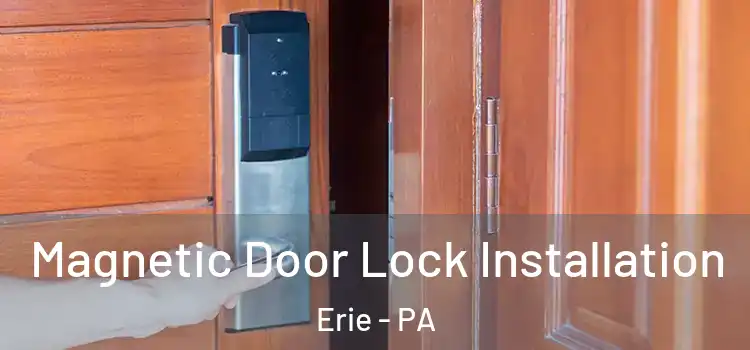  Magnetic Door Lock Installation Erie - PA