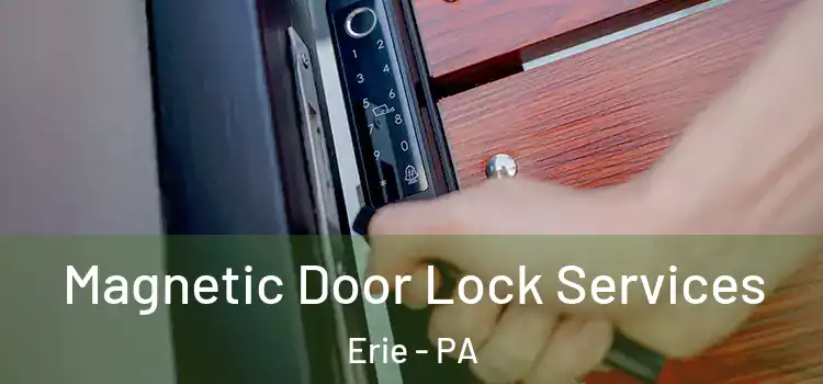 Magnetic Door Lock Services Erie - PA