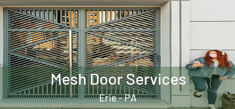  Mesh Door Services Erie - PA