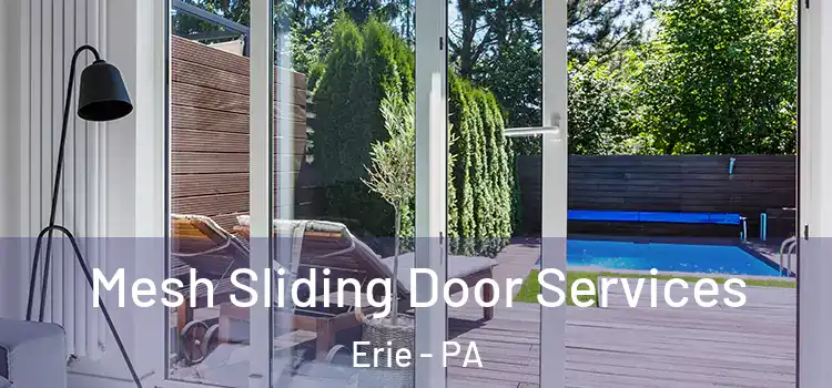  Mesh Sliding Door Services Erie - PA
