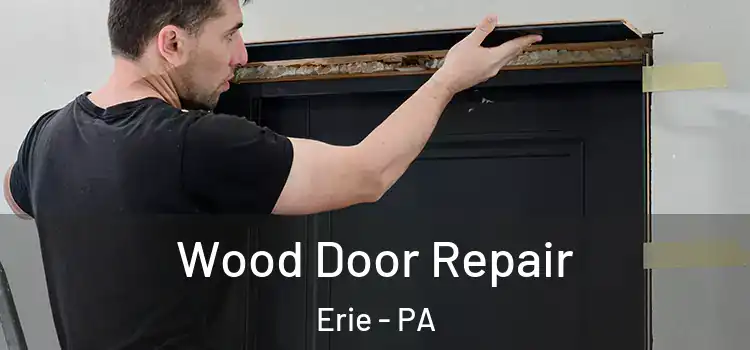 Wood Door Repair Erie - PA